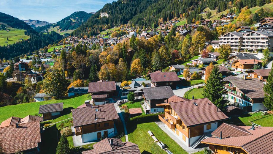 Ferienwohnung Adelboden