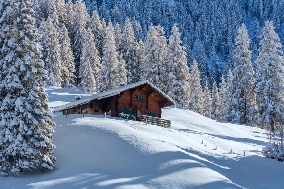 Winter Berghaus Adelboden